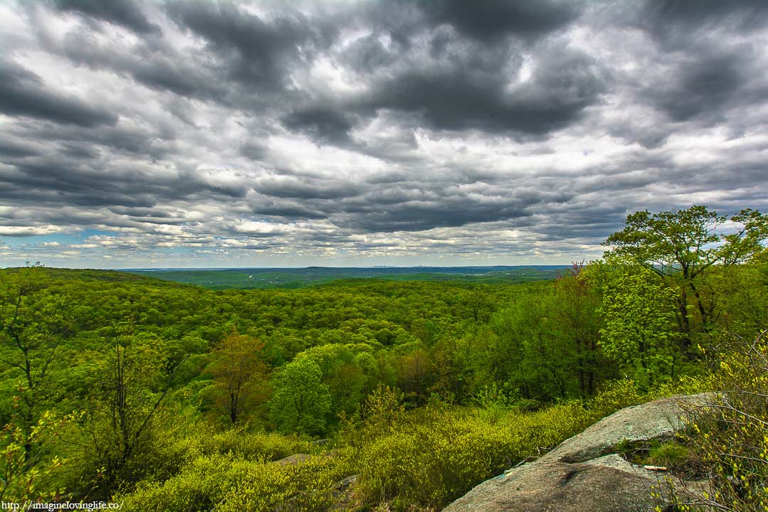 yellow trail view